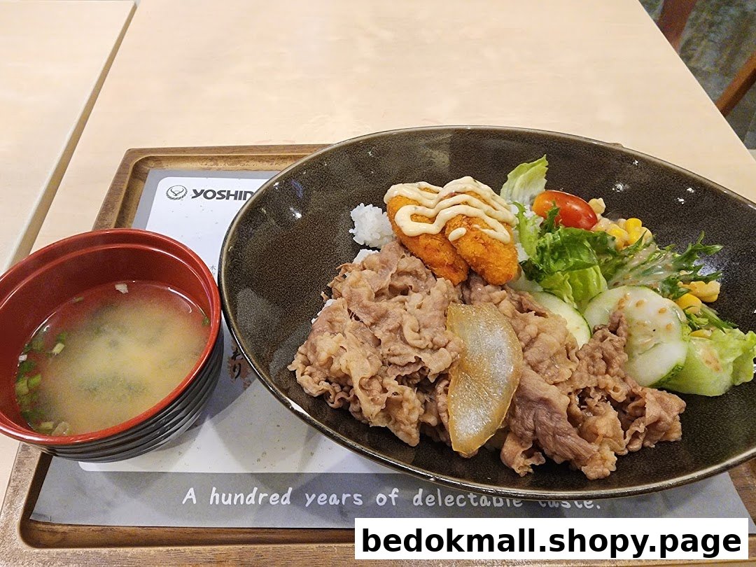 A bowl of beef and rice with salad, fried items, and soup on a tray.