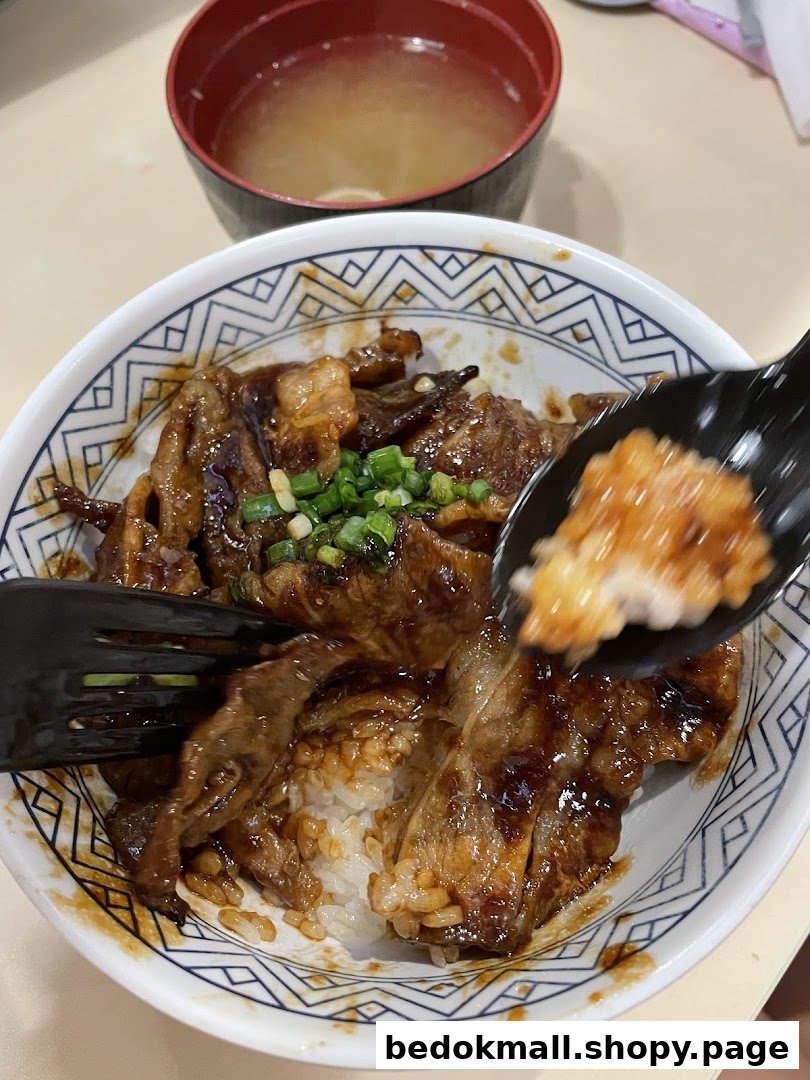 A close-up of a meat and rice bowl with soup.
