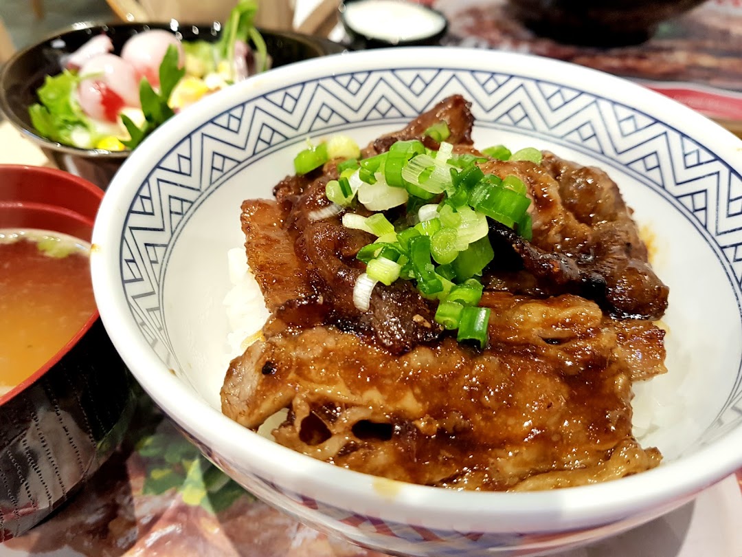 Close-up of a rice bowl with meat and green onions, with soup and salad.