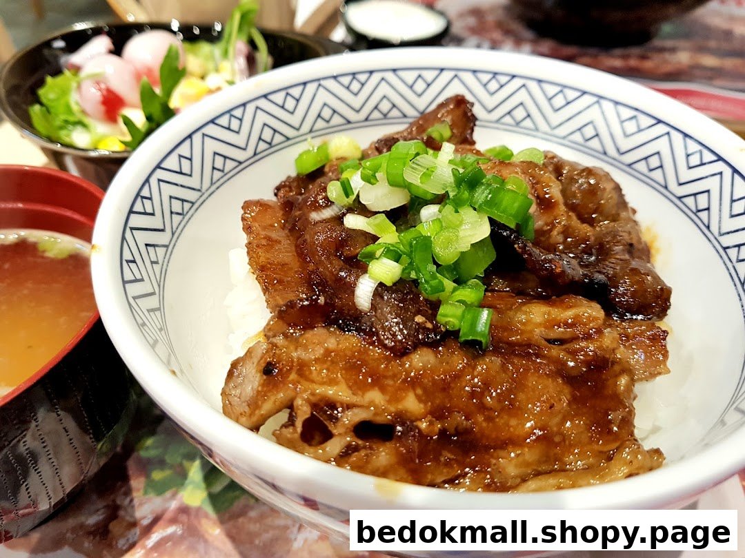 Close-up of a rice bowl with meat and green onions, with soup and salad.