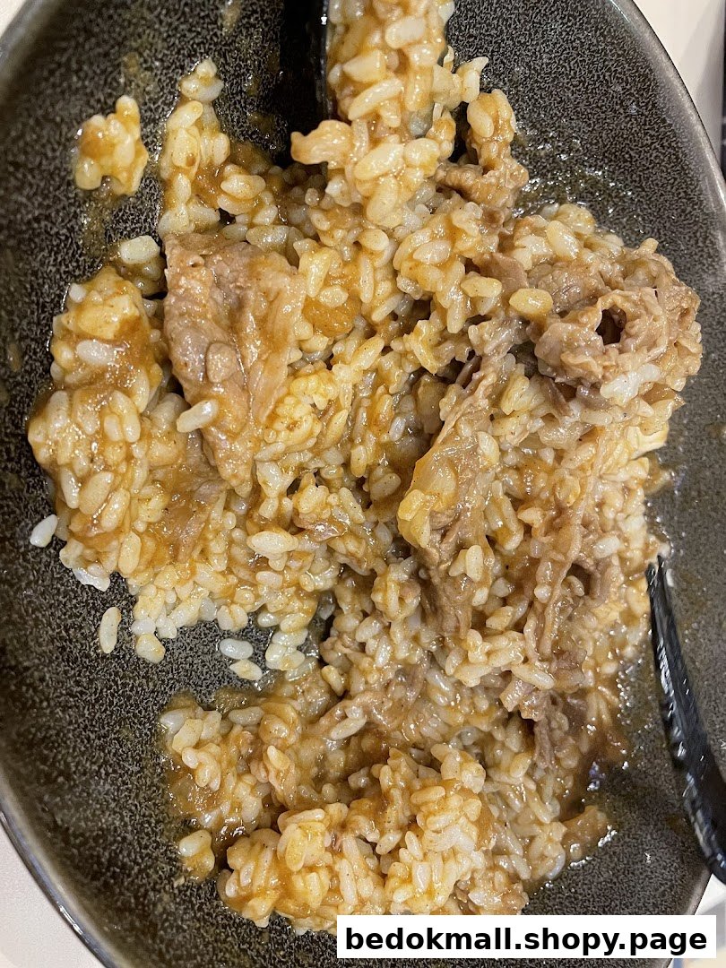 Close-up of a bowl of rice with beef and sauce.