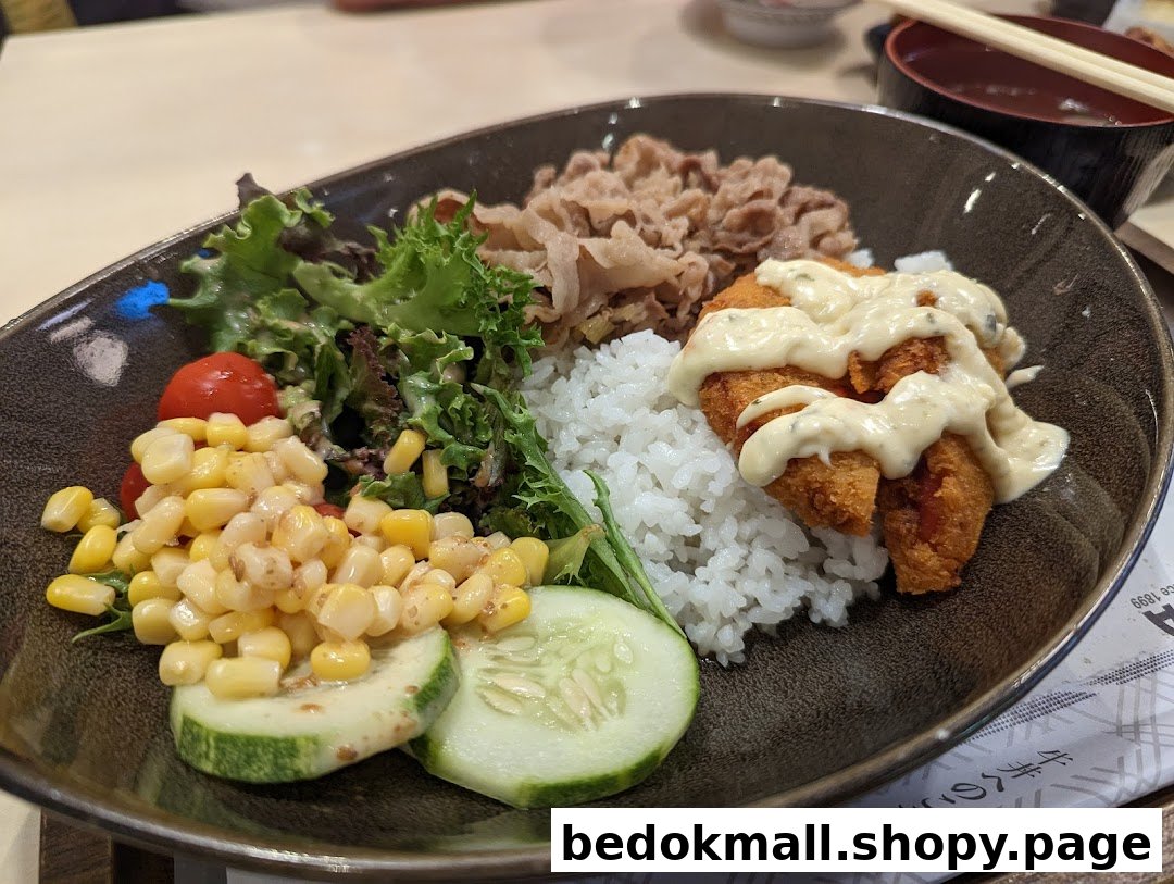 A close-up of a rice bowl with meat, fried fish, and salad.