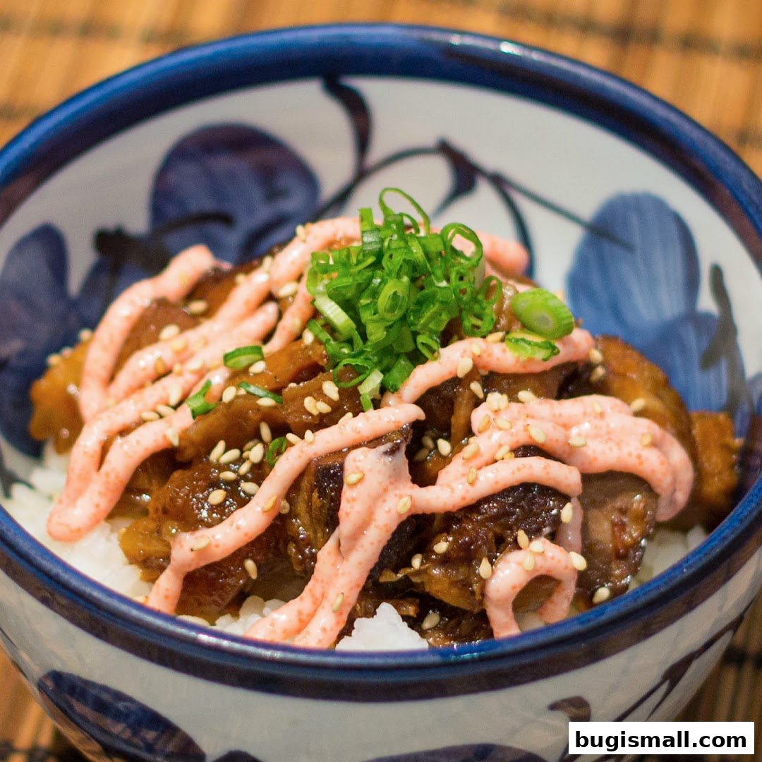 A close-up of a delicious ramen dish in a decorative bowl, topped with meat, sauce, and green onions.