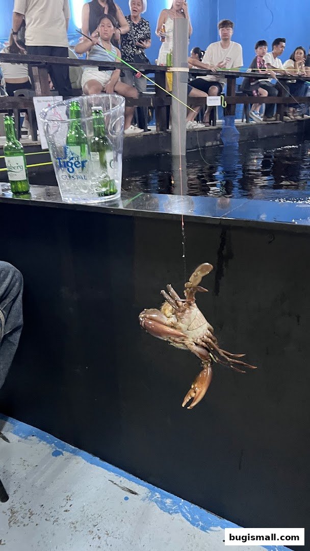 People fishing for crabs at an indoor fishing pond with drinks on ice.