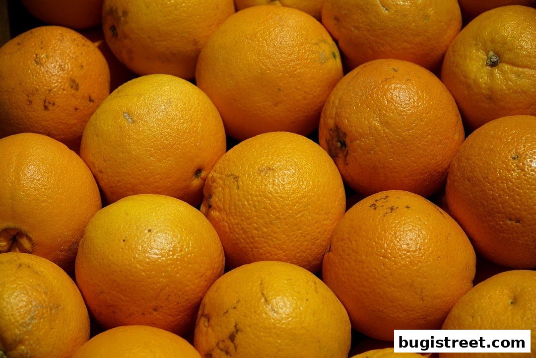 A close-up shot of many fresh, ripe oranges filling the frame.