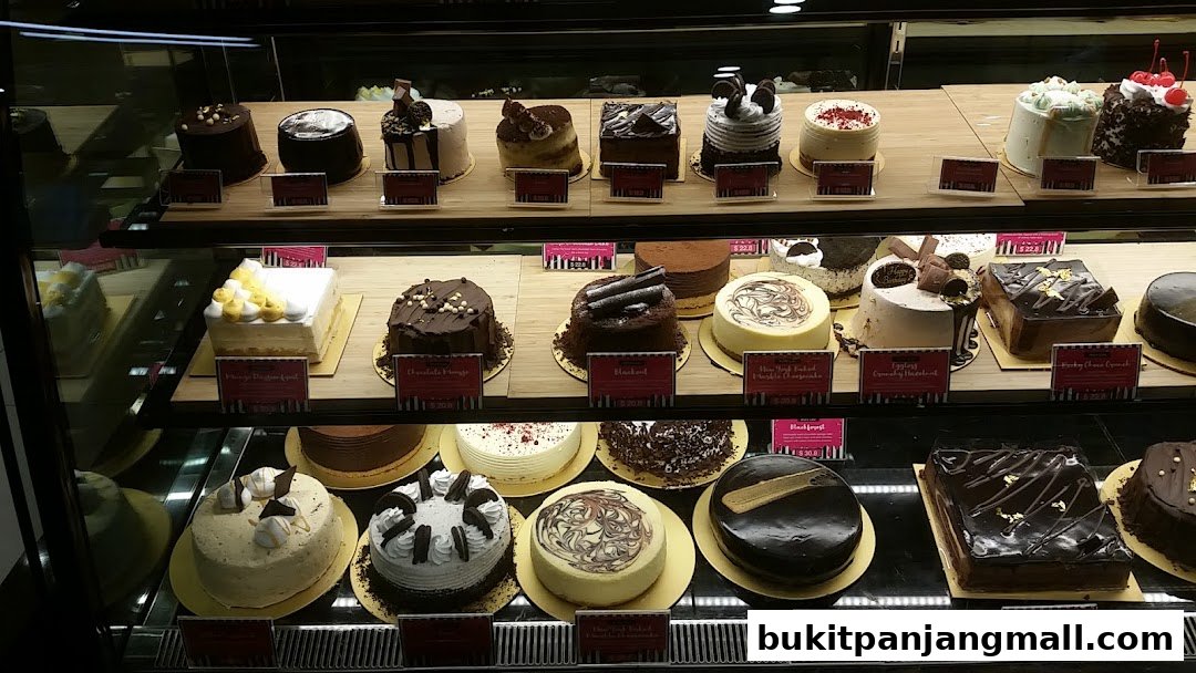 A display case filled with a variety of beautifully decorated cakes and cupcakes.