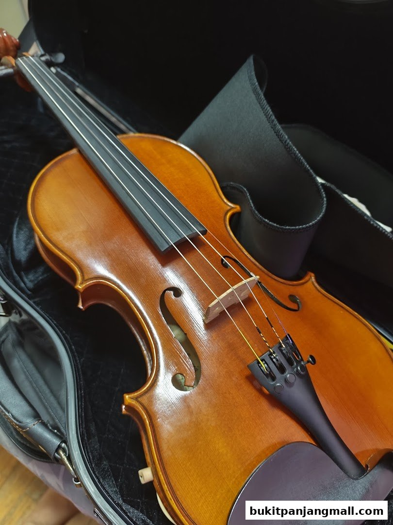 A close-up shot of a polished wooden violin resting in its black case.