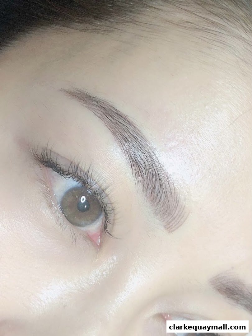 Close-up of a woman's eye with perfectly shaped and filled eyebrows.
