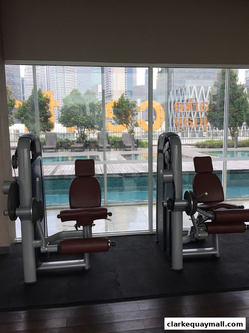 Gym equipment in front of a swimming pool with city views.
