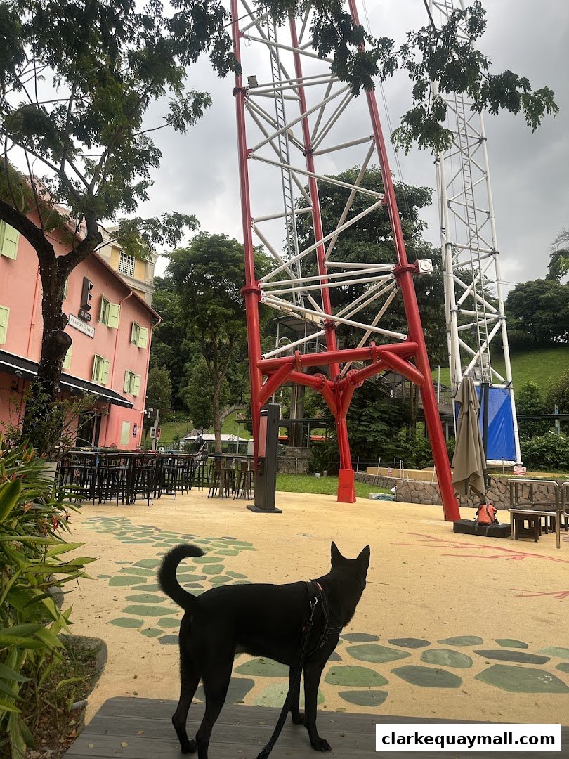 A black dog stands in an outdoor area with a pink building and a tall red structure.