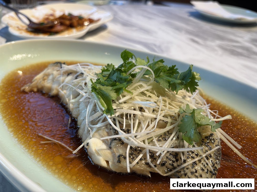 A close-up of a steamed fish dish with ginger, scallions, and cilantro in a savory sauce.