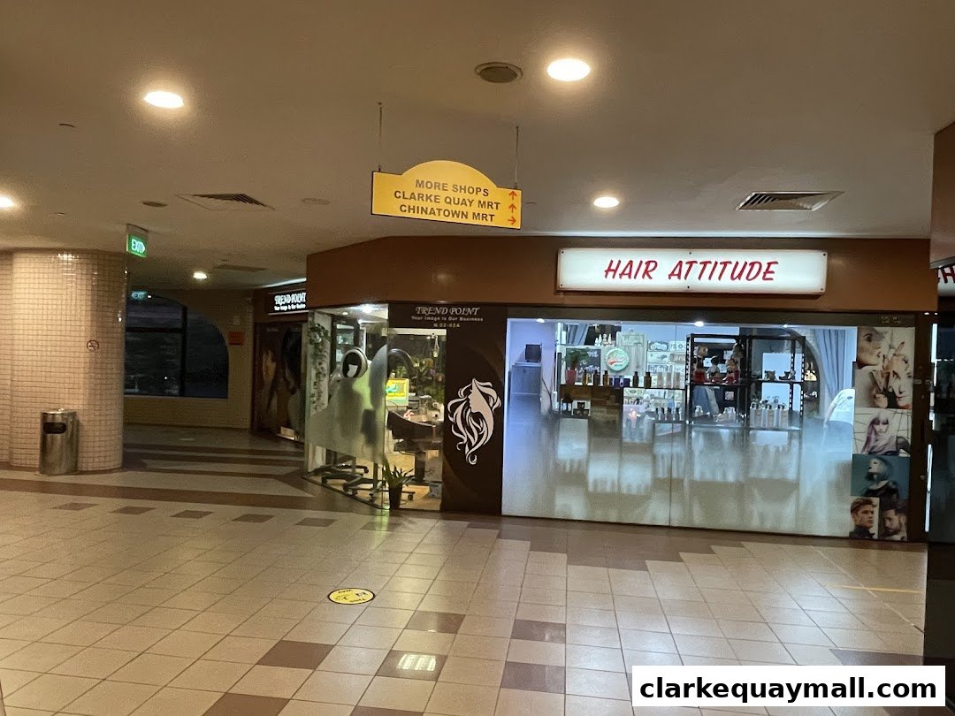 The exterior of the Hair Attitude salon, showcasing its interior and styling displays.