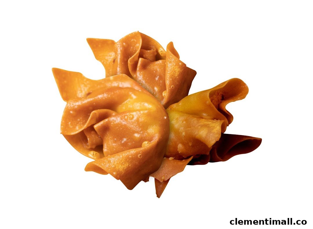 A close-up of a golden-brown, fried, folded food item, likely a crispy wonton or dumpling.