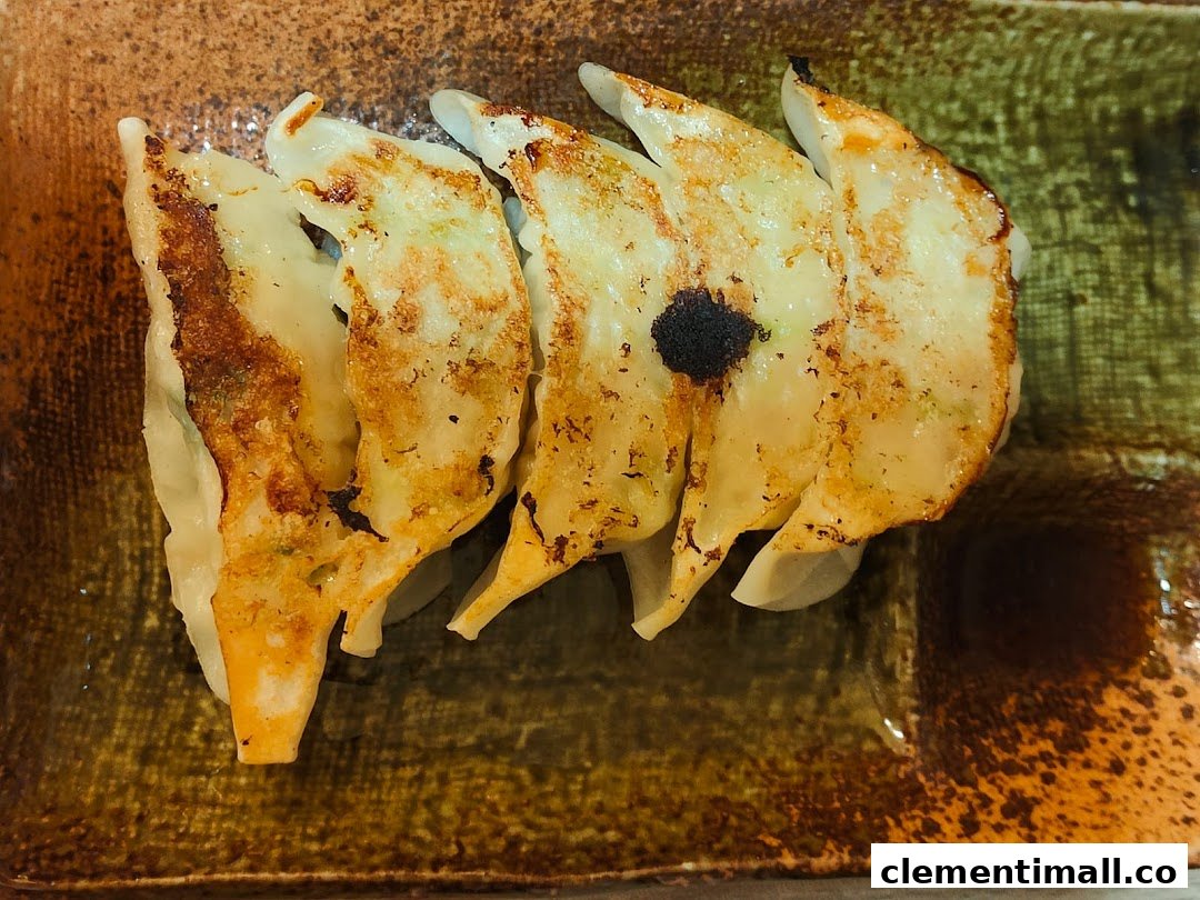 Close-up of perfectly pan-fried gyoza served on a rustic ceramic plate.