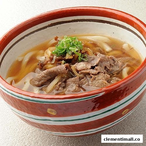 A close-up of a hearty bowl of Japanese udon noodles topped with tender sliced beef and green onions.