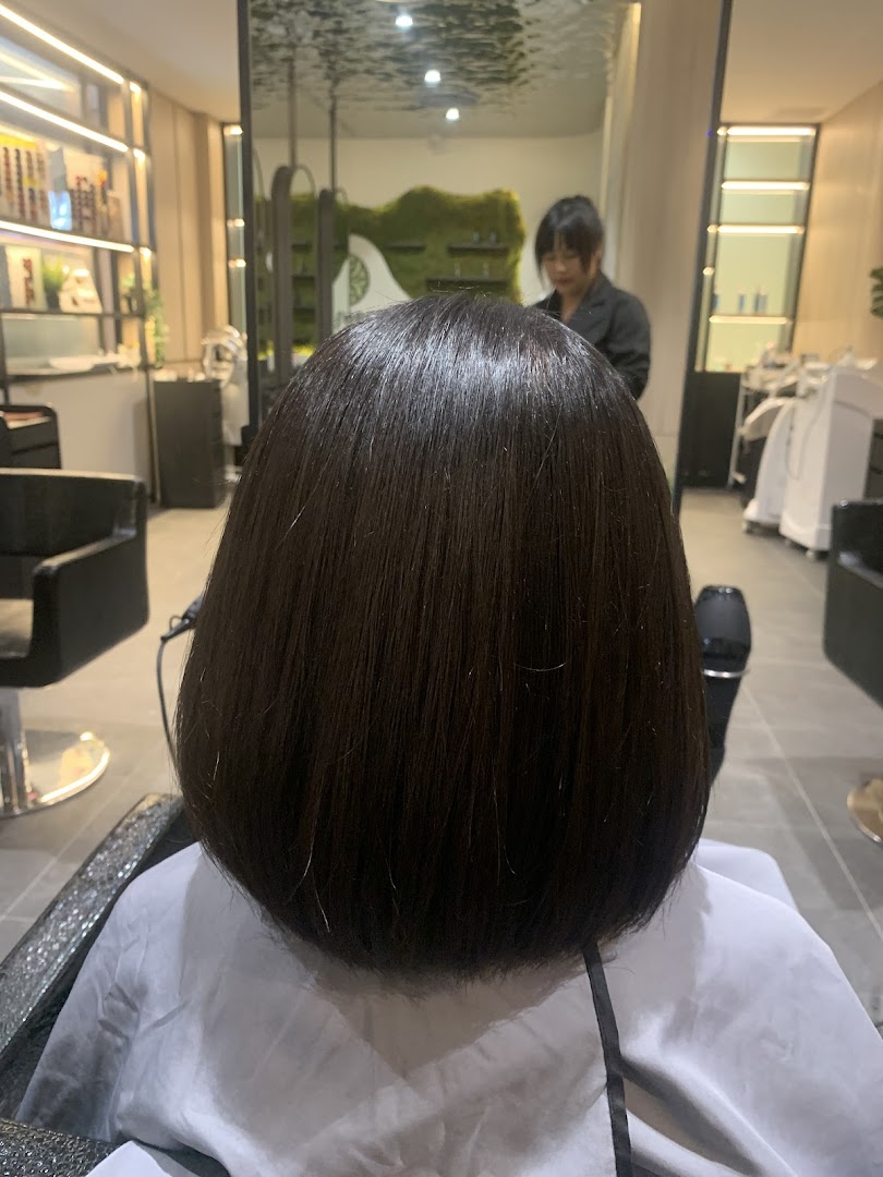 A client's freshly styled dark bob haircut from behind, with a stylist and modern salon interior visible.