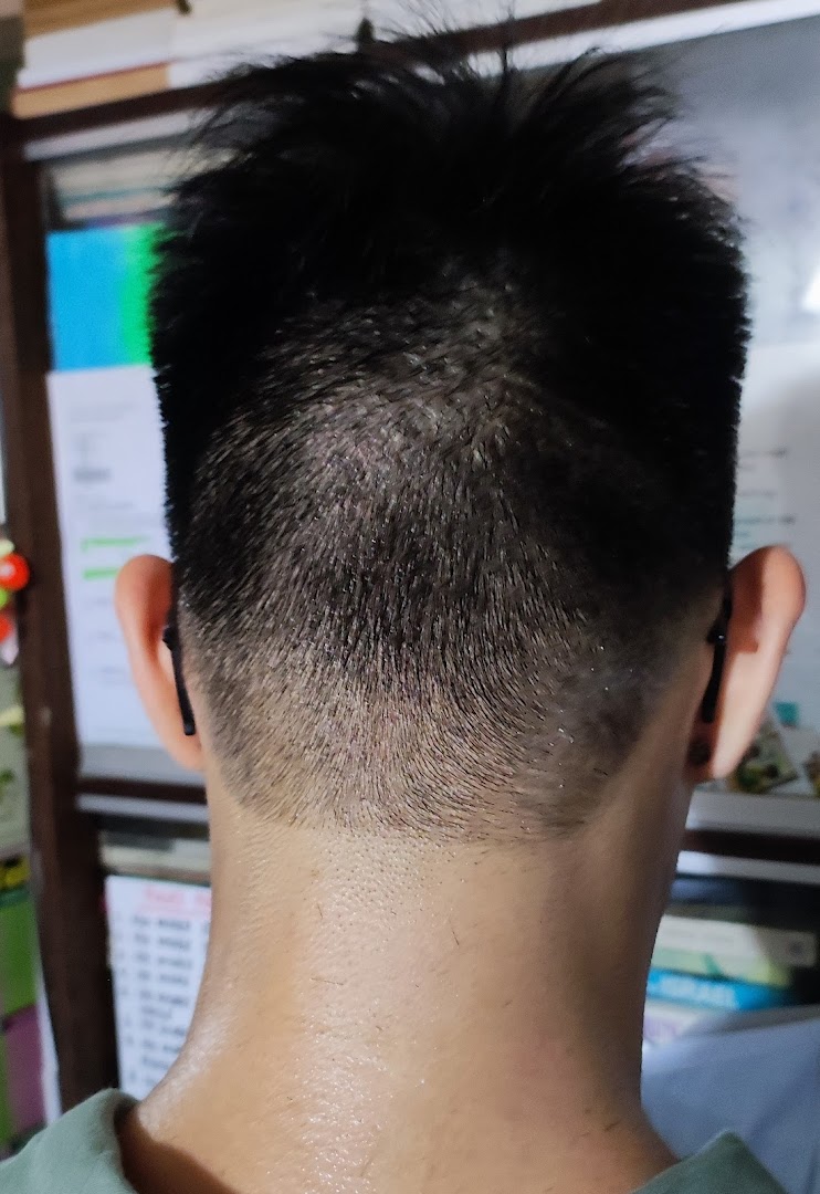 Close-up of a fresh haircut with a clean fade at the back of a customer's head.