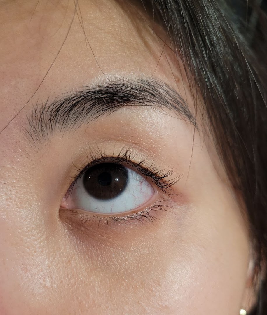 Close-up of a person's eye showcasing well-groomed eyelashes and eyebrow.