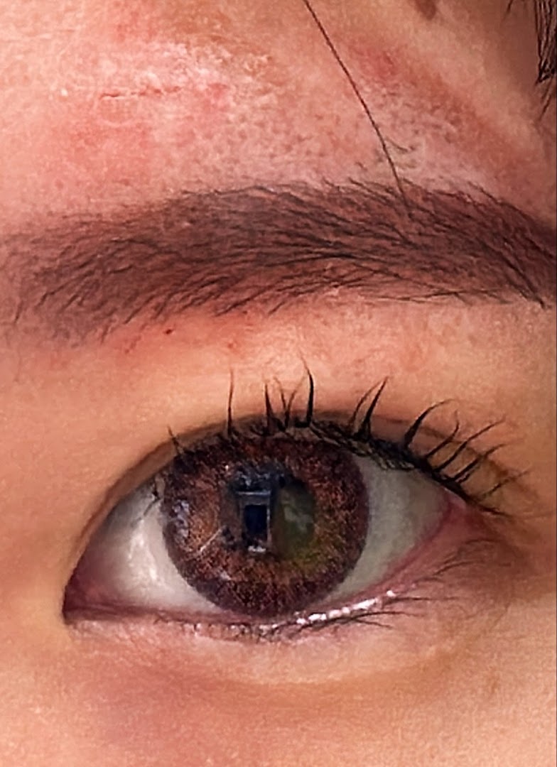 A close-up of an eye featuring a dark brown iris, defined eyelashes, and an eyebrow.