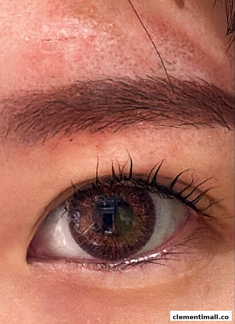 A close-up of an eye featuring a dark brown iris, defined eyelashes, and an eyebrow.