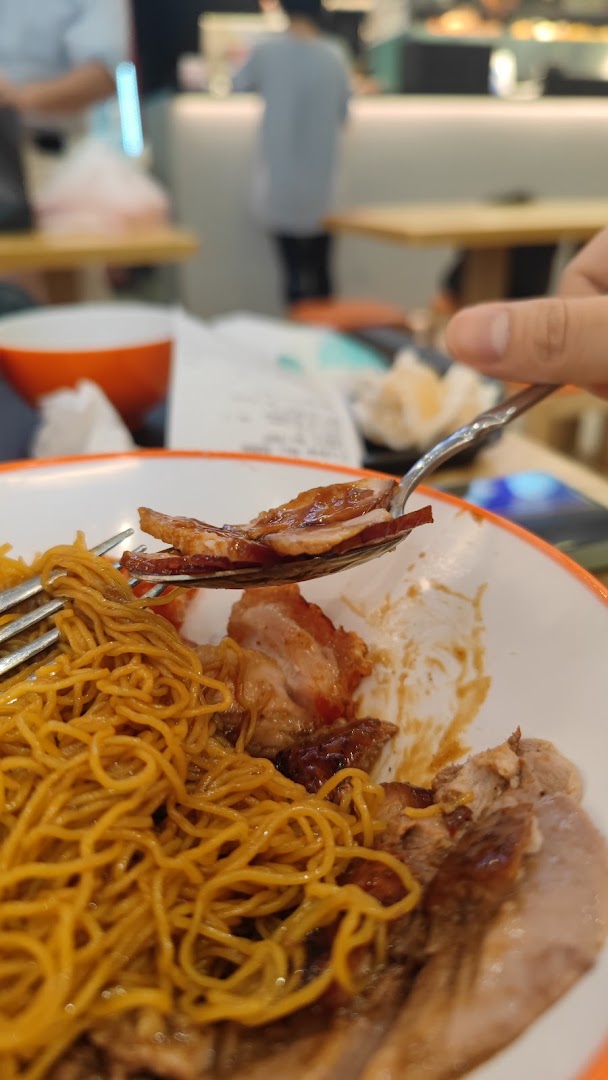 A close-up of delicious roasted duck and noodles being enjoyed with a fork.