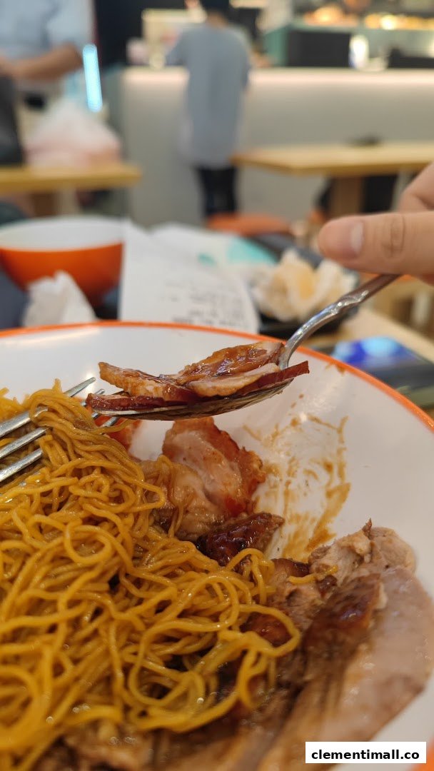A close-up of delicious roasted duck and noodles being enjoyed with a fork.