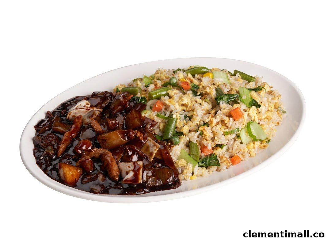 A white oval plate featuring a split dish of dark saucy noodles/meat and colorful vegetable fried rice.