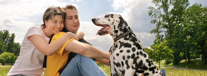 A happy couple with their Dalmatian dog enjoying time outdoors.