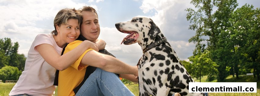 A happy couple with their Dalmatian dog enjoying time outdoors.