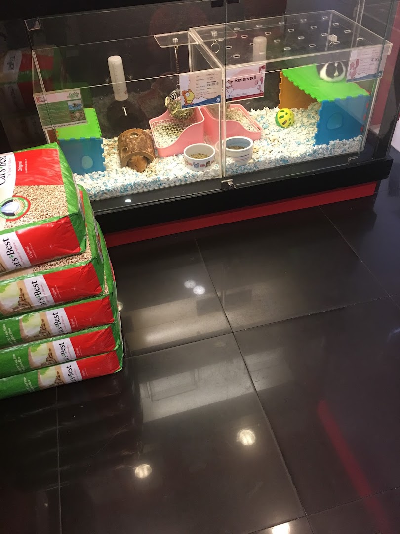 A clear pet enclosure with guinea pigs and pet supplies, including Cat's Best litter bags.