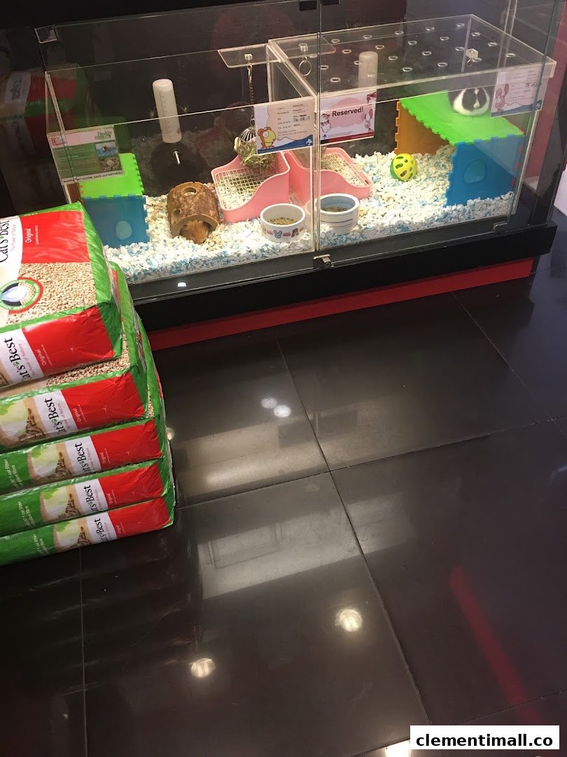 A clear pet enclosure with guinea pigs and pet supplies, including Cat's Best litter bags.