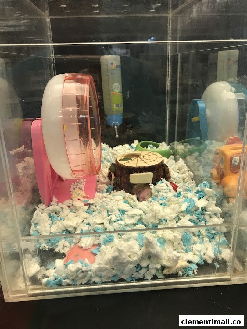 A clear hamster cage display featuring bedding, a pink wheel, water bottle, and various accessories.