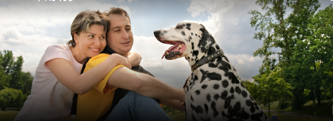 A happy couple embracing their Dalmatian dog outdoors, symbolizing pet companionship.