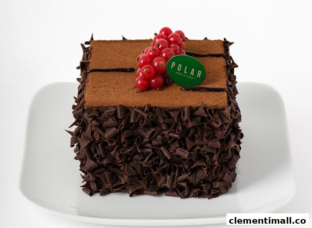 A decadent chocolate cake adorned with red currants and a 'Polar Puffs & Cakes' logo.