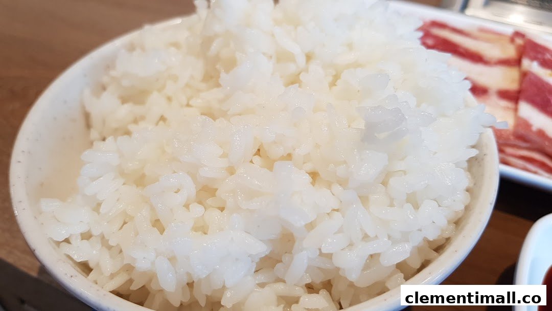 A close-up of a bowl of fluffy white rice, a perfect accompaniment to yakiniku.