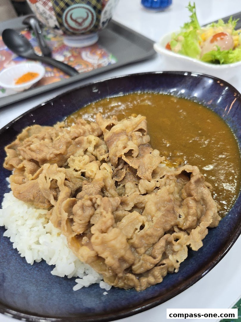 A close-up of a Yoshinoya beef curry rice dish with a side salad.