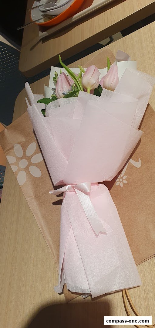 A bouquet of pink tulips wrapped in delicate pink paper with a ribbon.