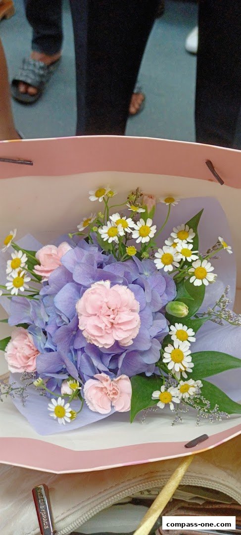 A beautiful bouquet of purple hydrangeas, pink carnations, and daisies in a pink bag.