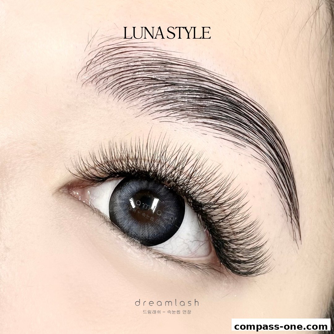 Close-up of a woman's eye showcasing dramatic eyelash extensions and a styled eyebrow.