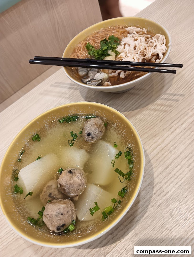 Two bowls of delicious Asian noodle soup with meatballs and shredded chicken.