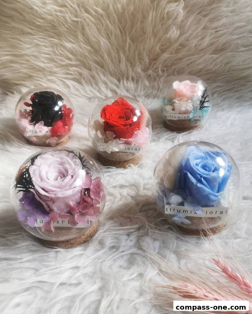 Five preserved roses in glass orbs with cork bases on a fluffy white surface.