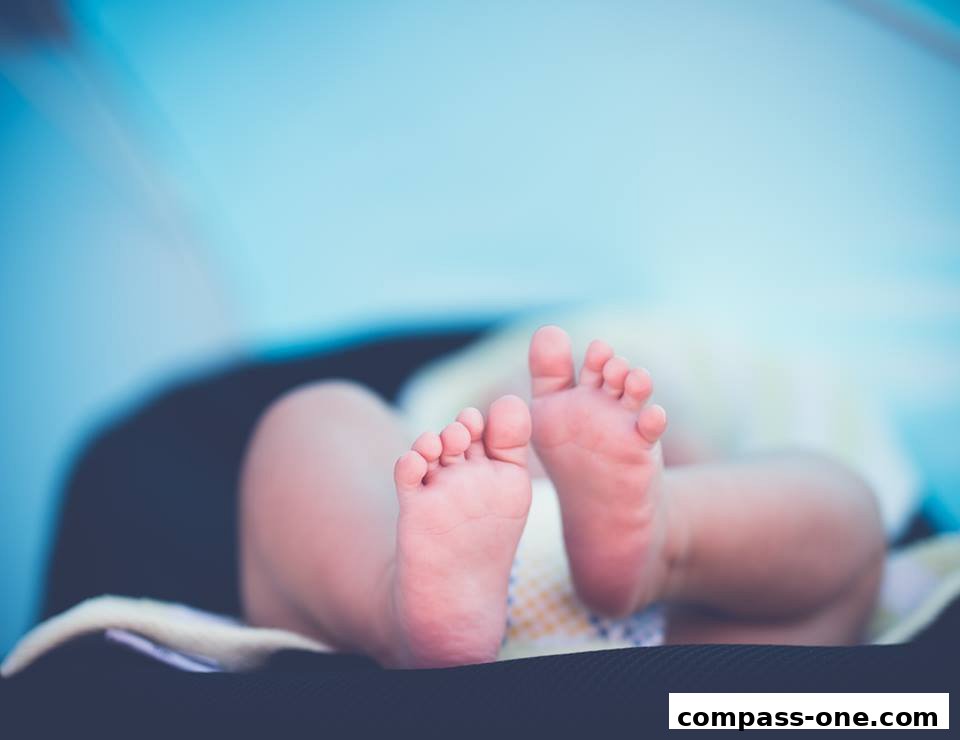 Close-up of a baby's tiny feet, resting comfortably.