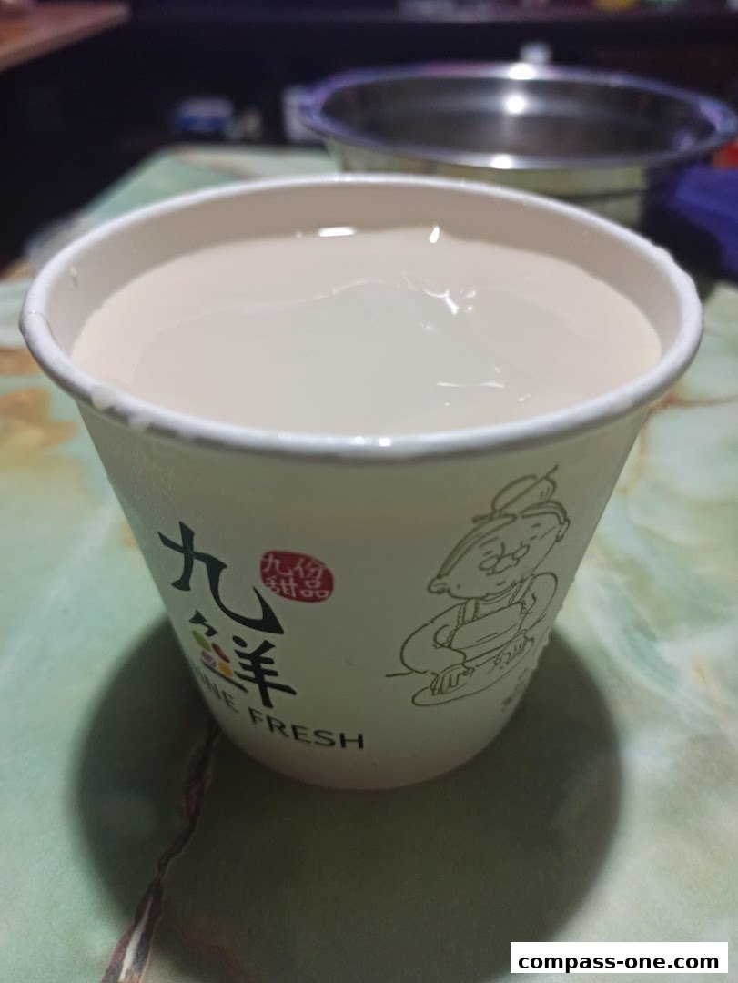A cup of creamy dessert from Nine Fresh Desserts Taiwan with their logo visible.