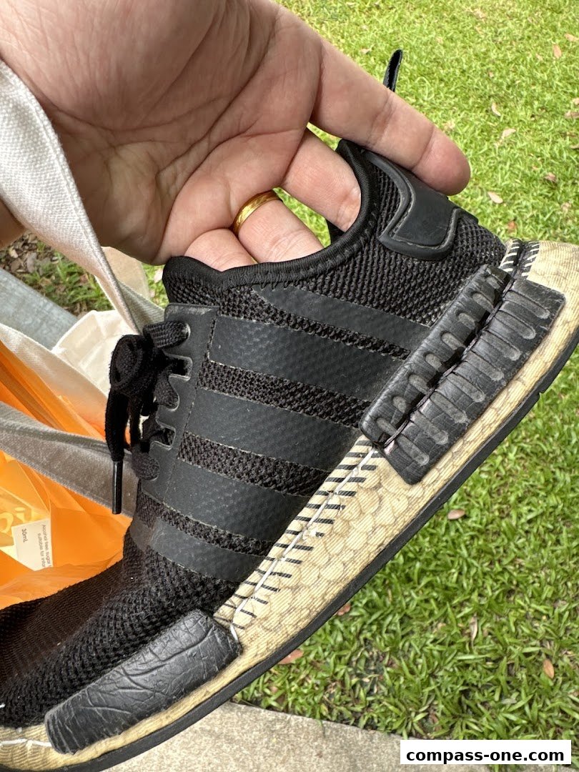 A hand holds a black Adidas sneaker with a worn sole against a grassy background.