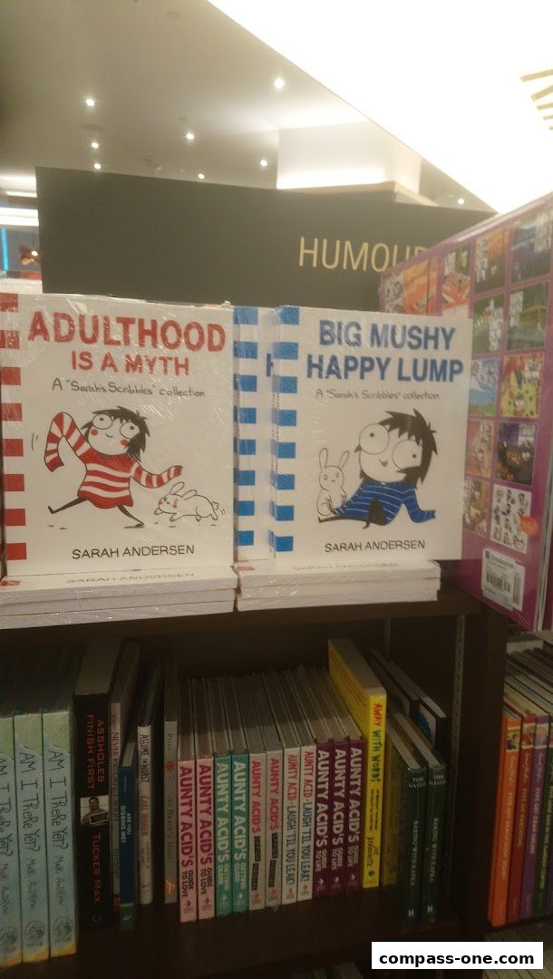 Books by Sarah Andersen and other titles displayed on shelves in a bookstore.
