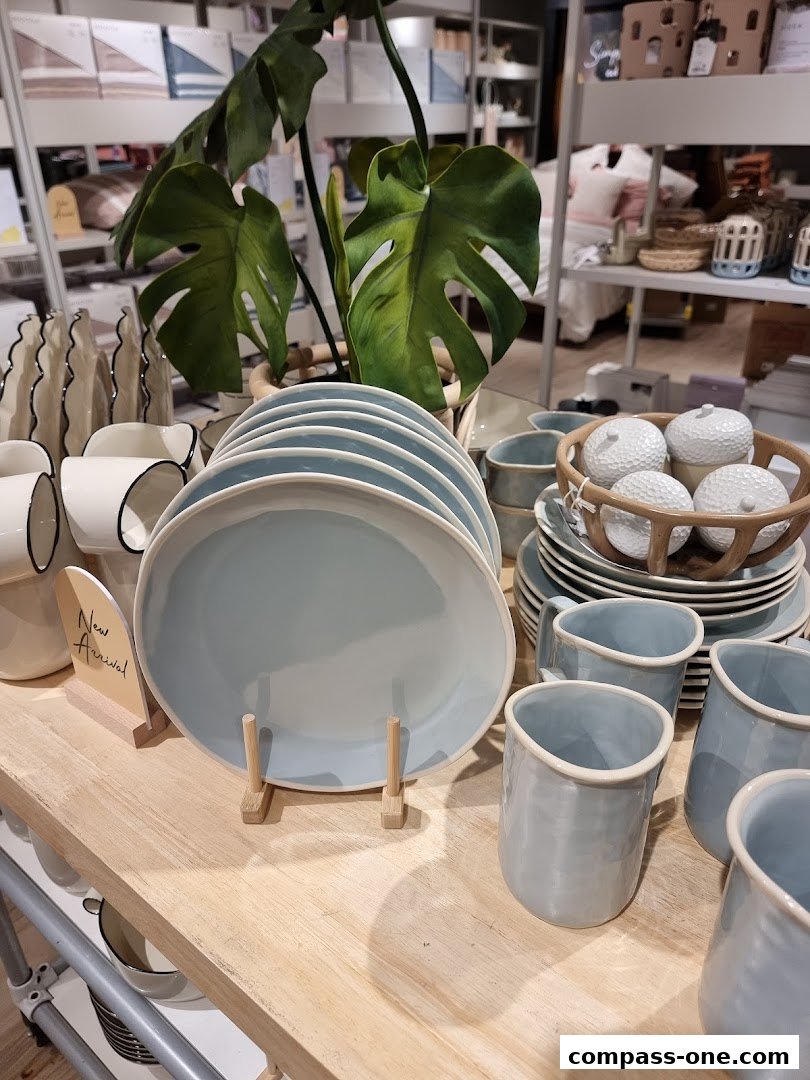 A display of light blue plates and mugs with a Monstera plant in a shop.