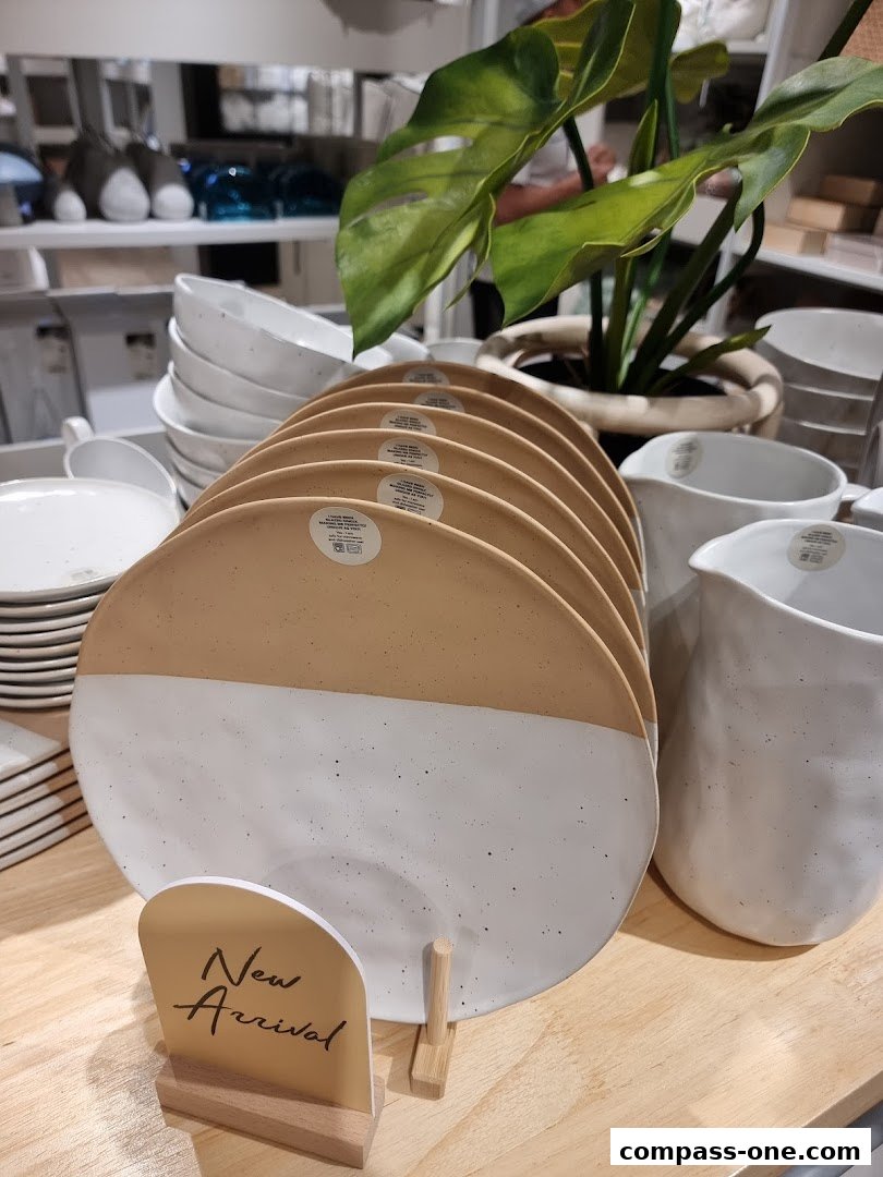 A display of new arrival ceramic plates and jugs with a Monstera plant.
