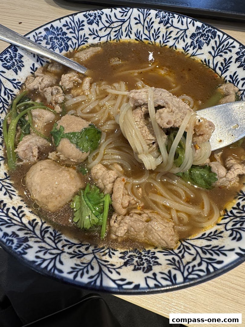 A close-up shot of a delicious bowl of noodle soup with meat and meatballs.