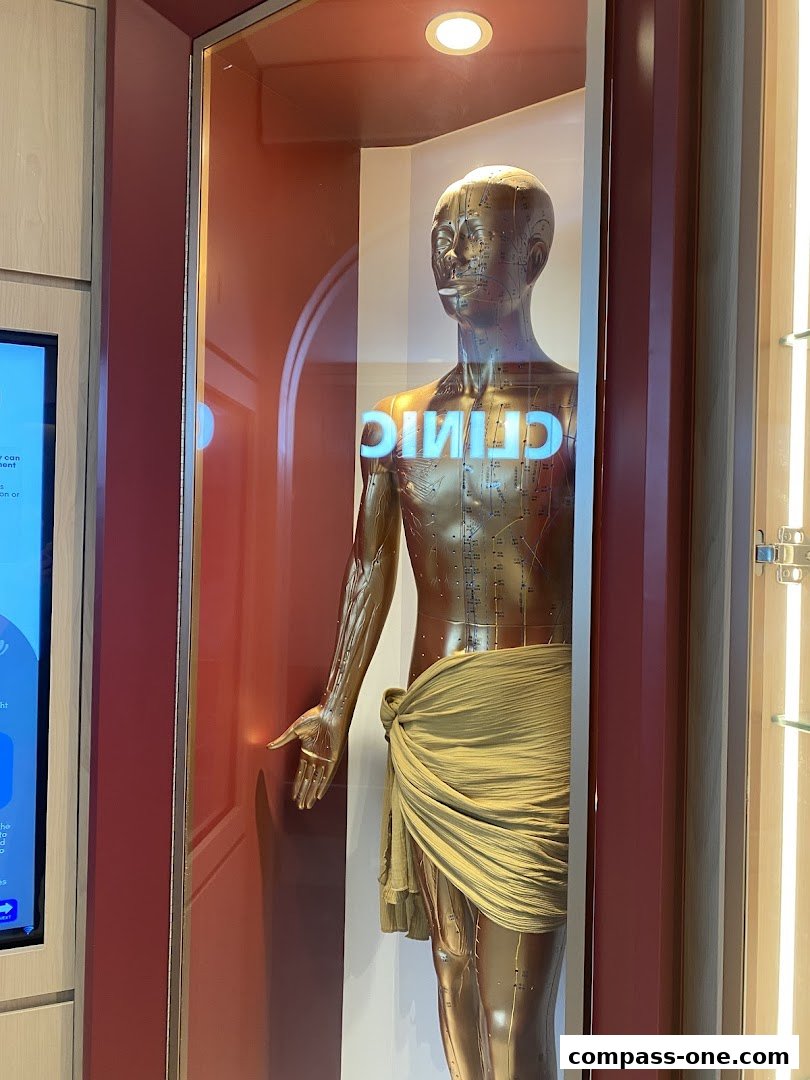 A golden acupuncture model is displayed in a clinic window with the word 'CLINIC' reflected on the glass.