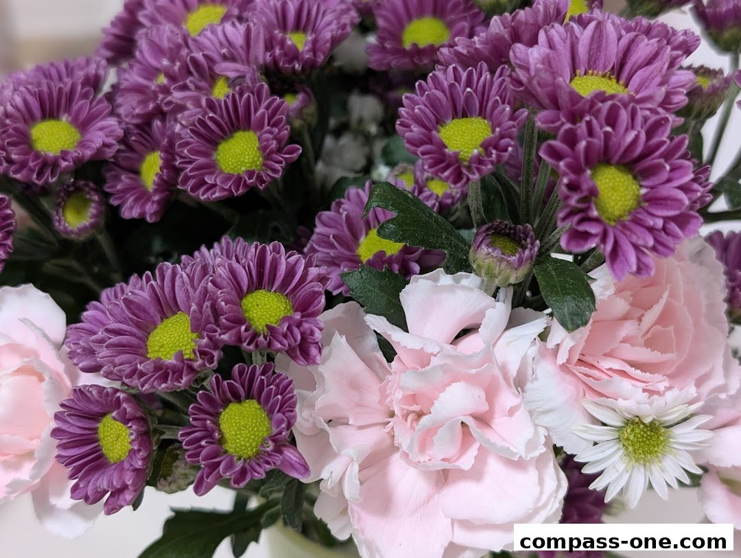 A close-up view of a vibrant floral arrangement featuring purple chrysanthemums and pink carnations.